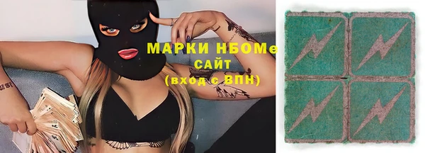 гашик Алексин