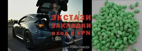 гашик Алексин