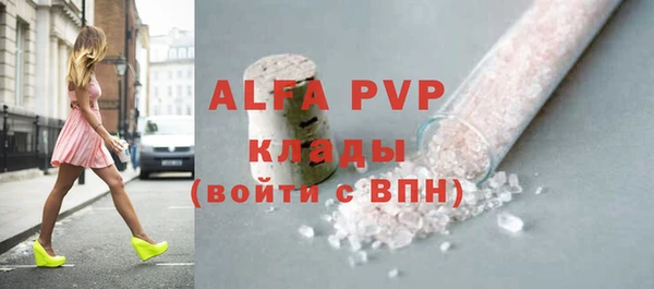 гашик Алексин