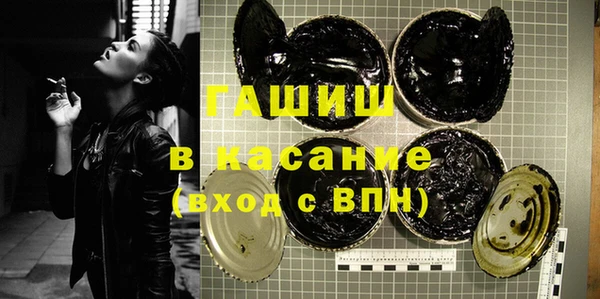 гашик Алексин