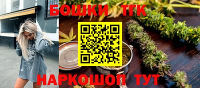 стаф Новодвинск