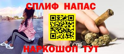 стаф Новодвинск