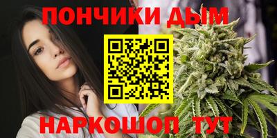 стаф Новодвинск